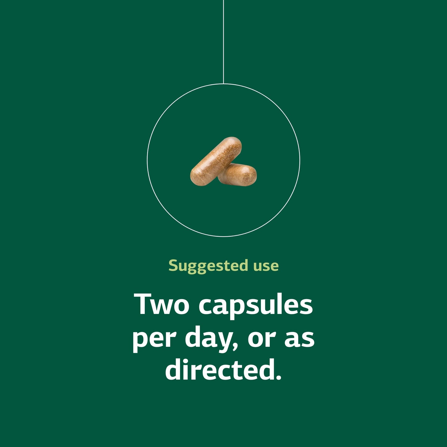 Standard Process Epimune Complex Capsule 90
