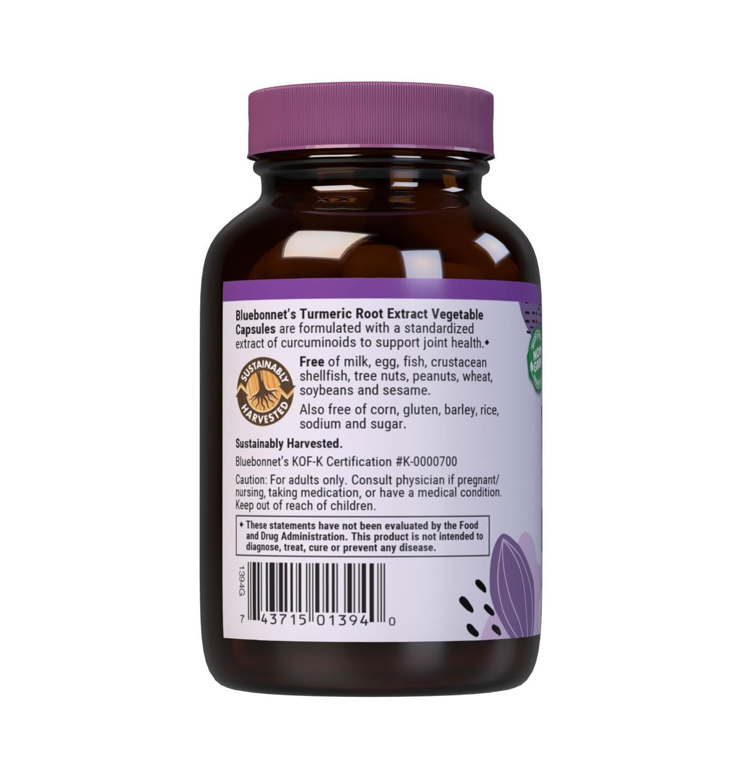 BlueBonnet Turmeric Root Extract Capsules, 60 Count