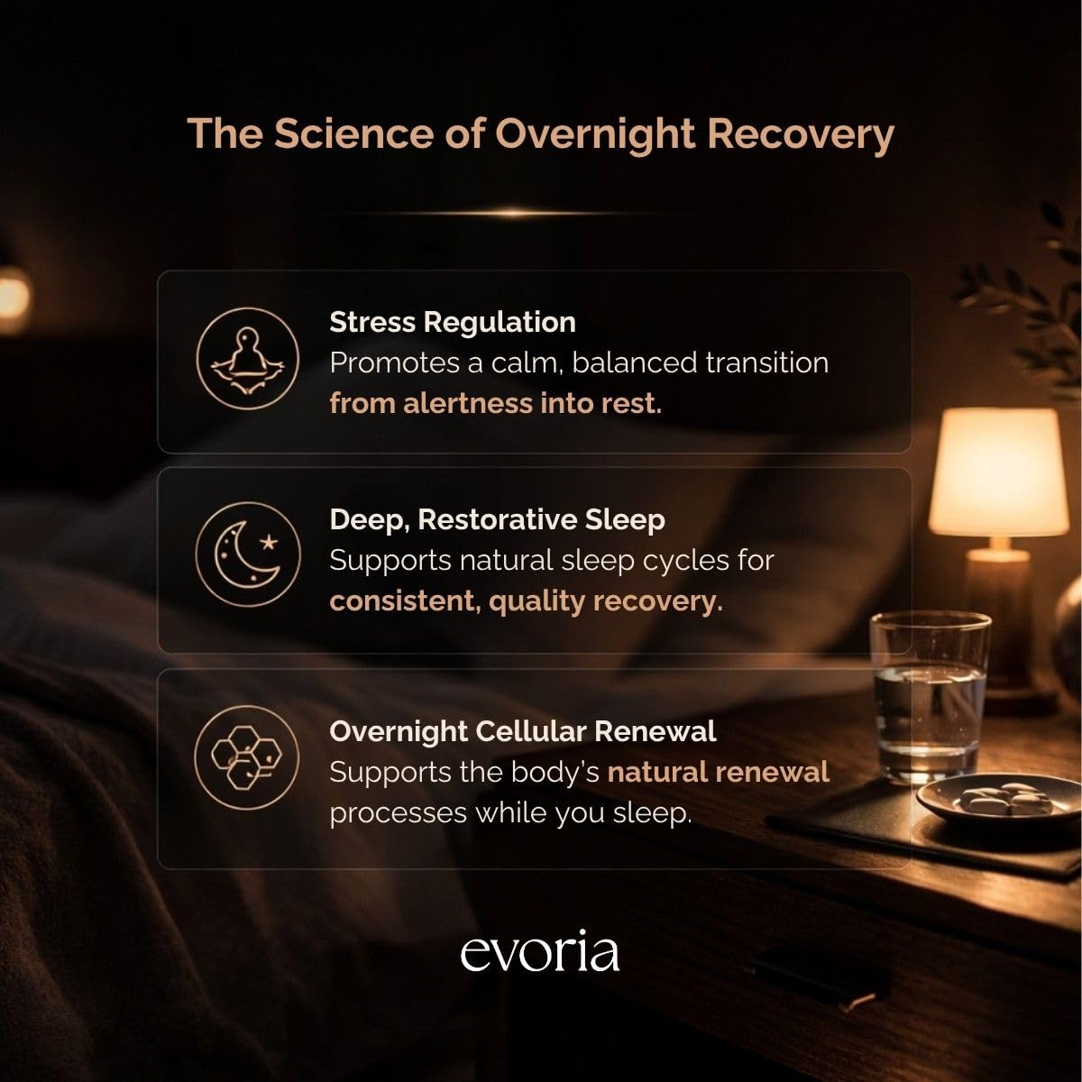 Evoria Health Night Recovery Capsules 60 Count