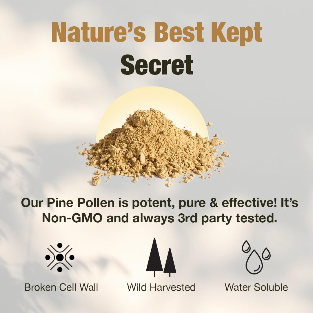 Samsara Herbs Pine Pollen 20:1 Concentrated Extract Powder, 4 Ounce