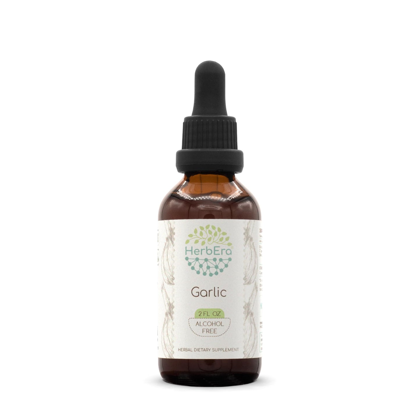 HerbEra Garlic B60 Alcohol-Free Herbal Extract Tincture Liquid Drops 2 Fl Oz