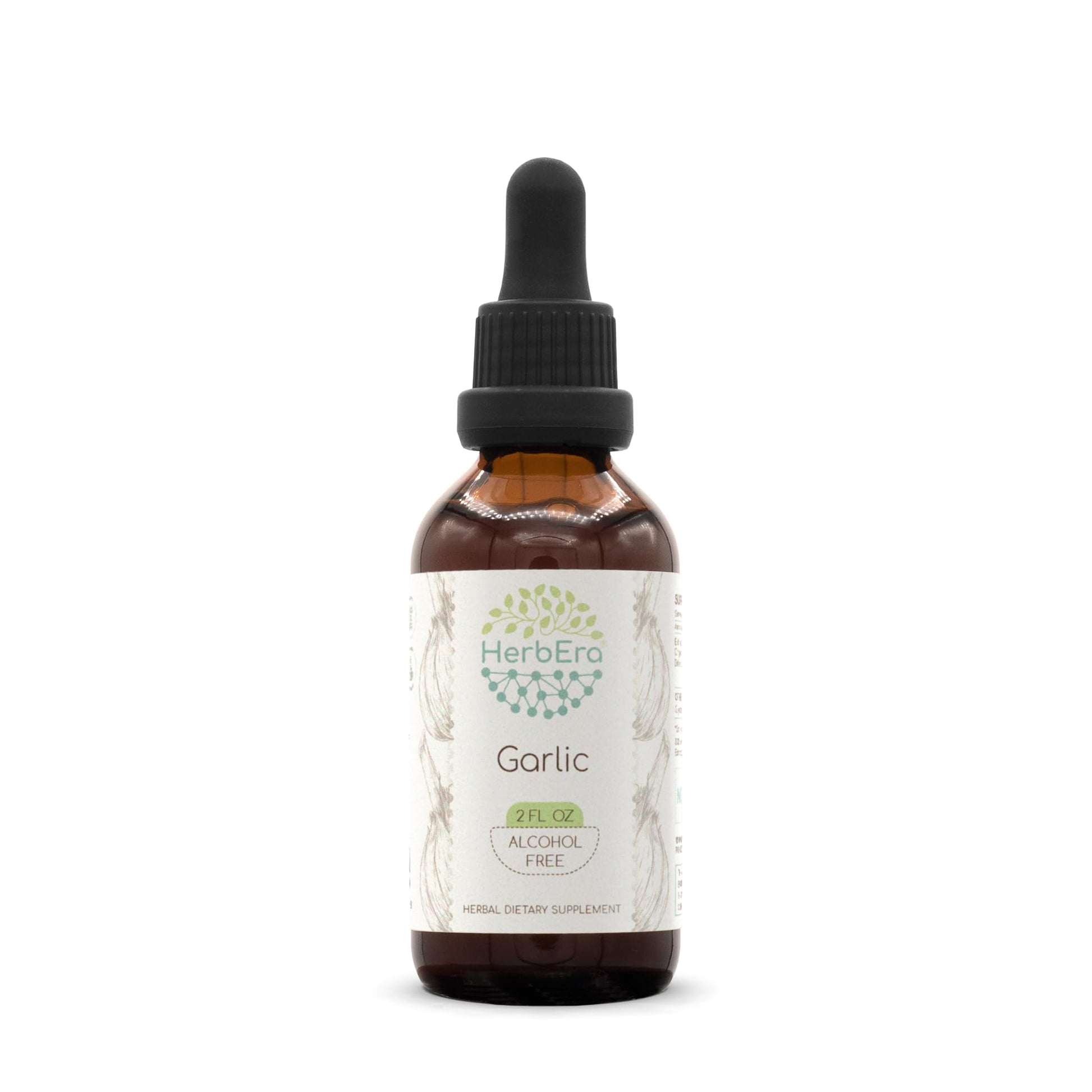HerbEra Garlic B60 Alcohol-Free Herbal Extract Tincture Liquid Drops 2 Fl Oz