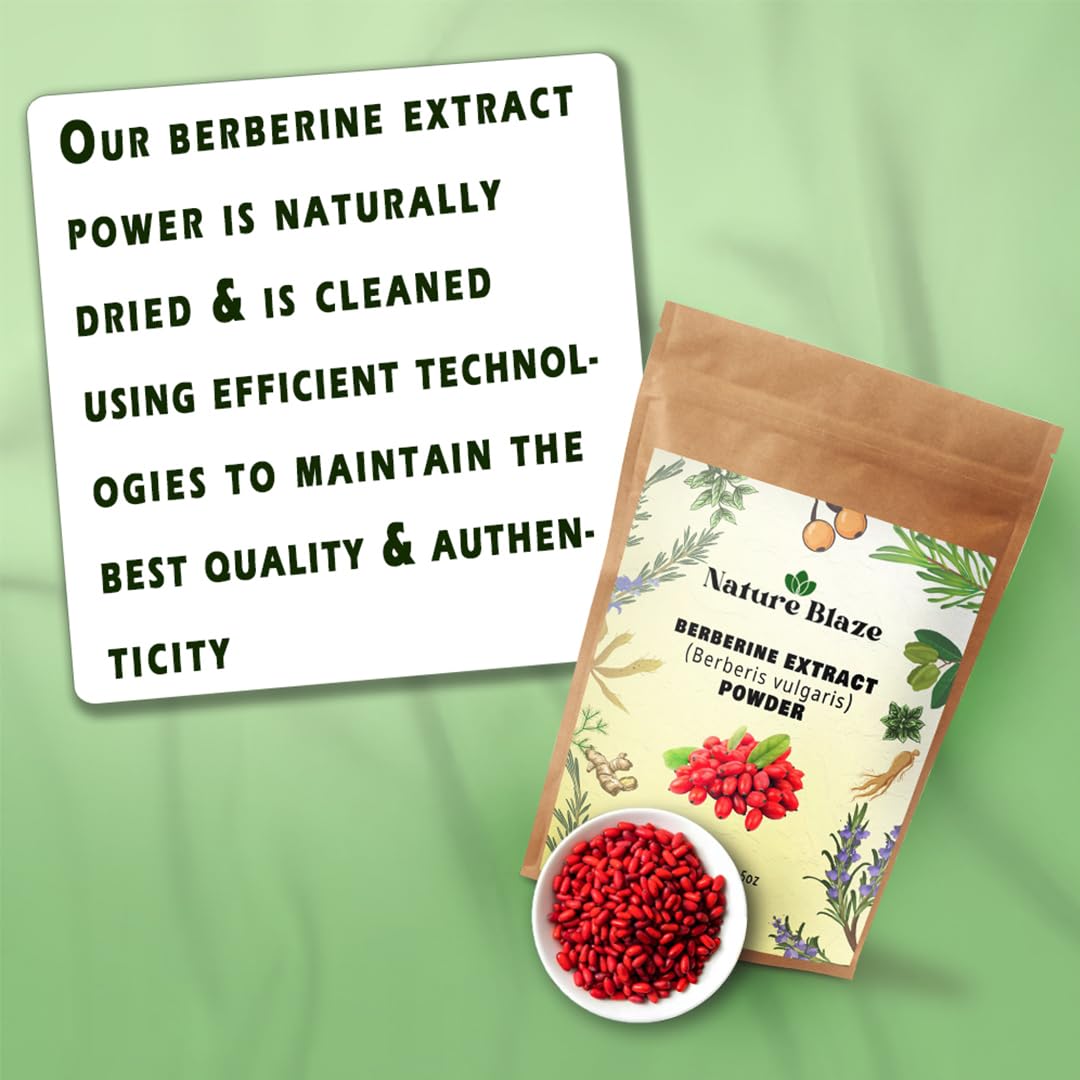 Nature Blaze Berberine Ayurvedic Extract Powder, 1 Count