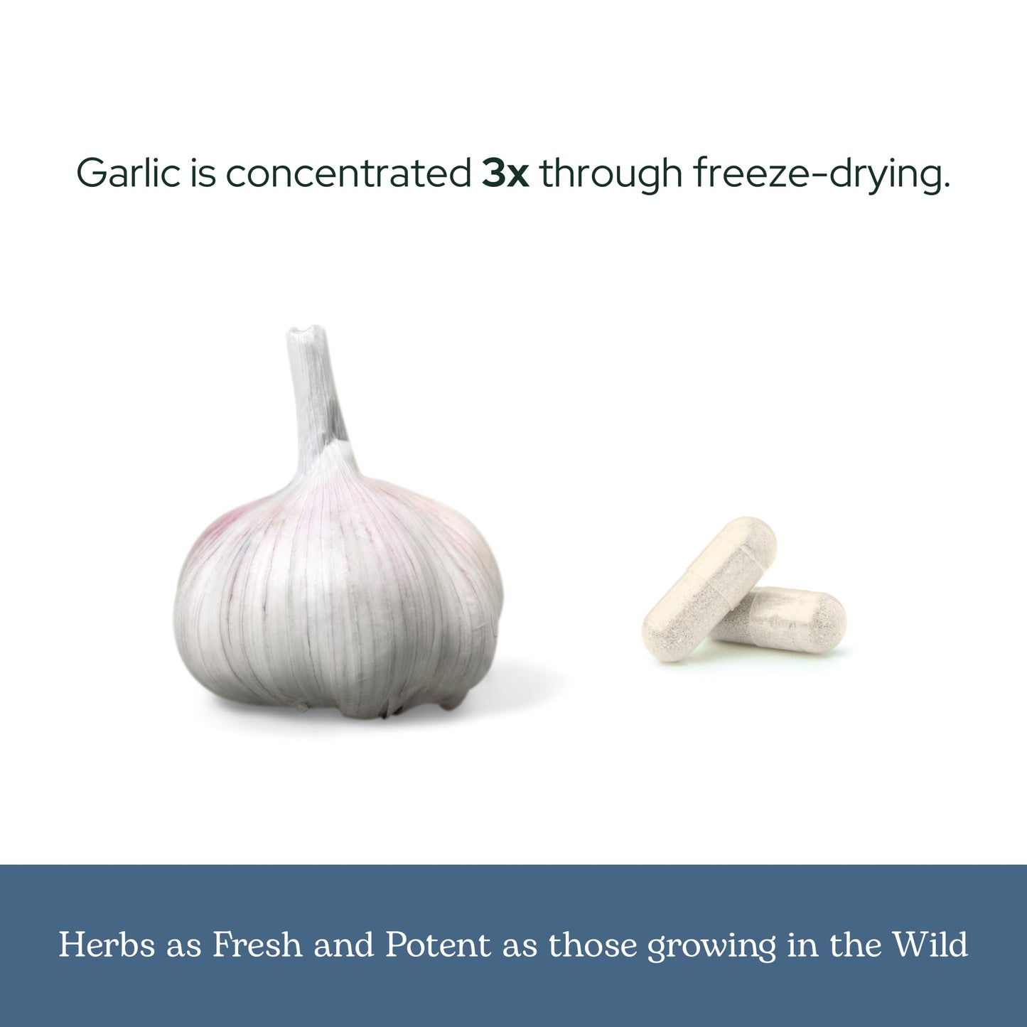 ECLECTIC INSTITUTE Garlic Capsules, 90 Count