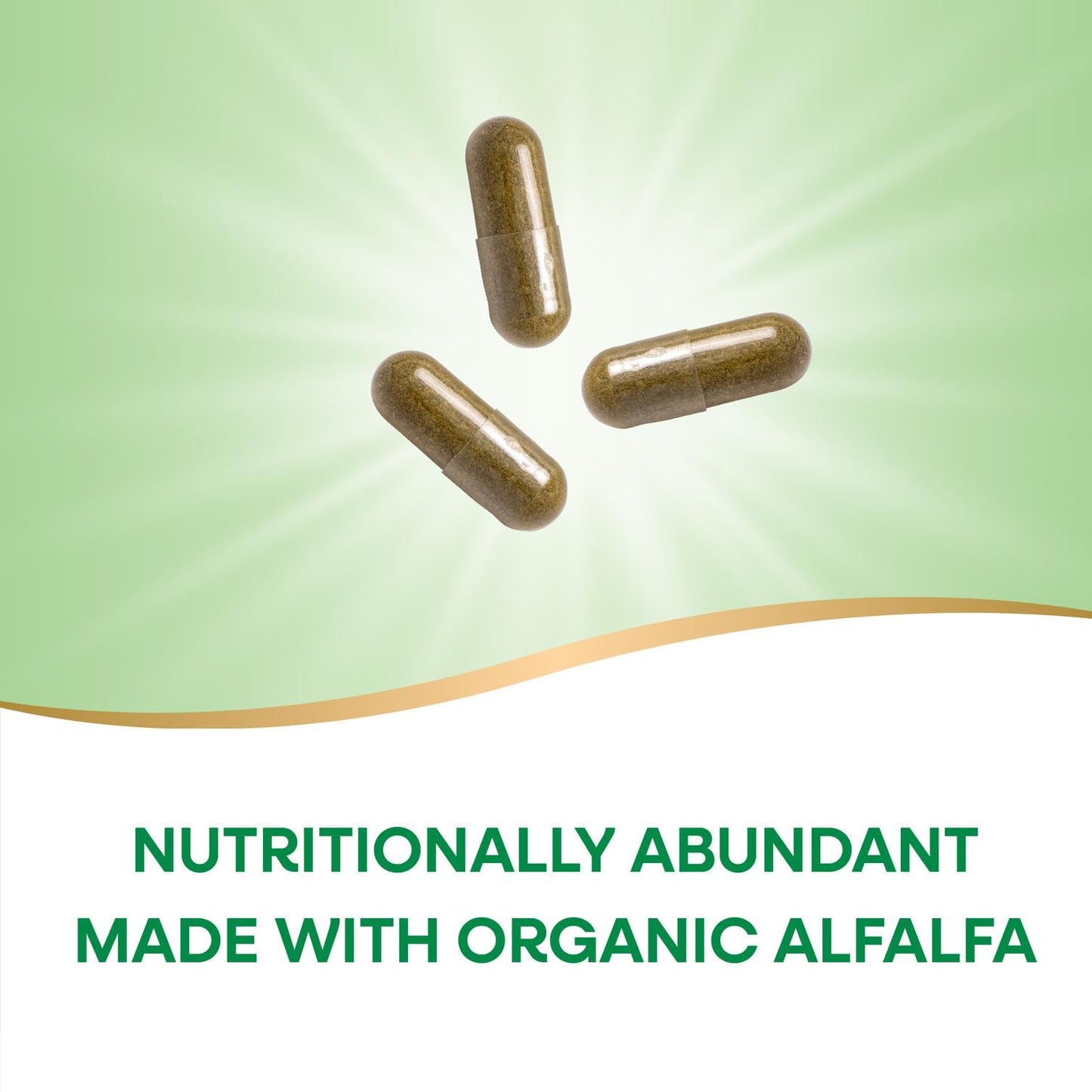 Nature's Way Organic Alfalfa Young Harvest Capsules, 100 Count
