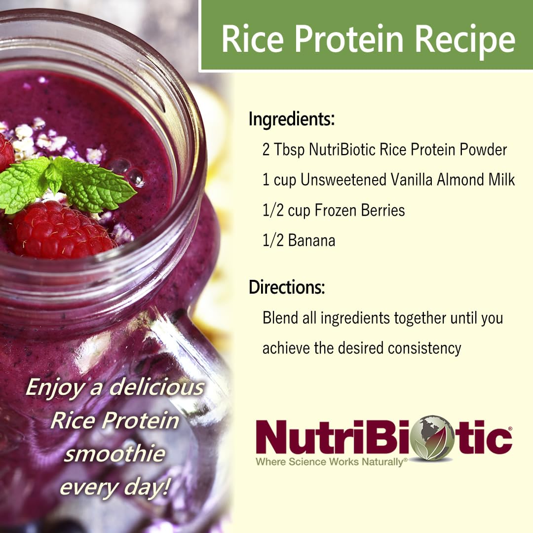 NutriBiotic Chocolate Rice Protein Powder, 48
