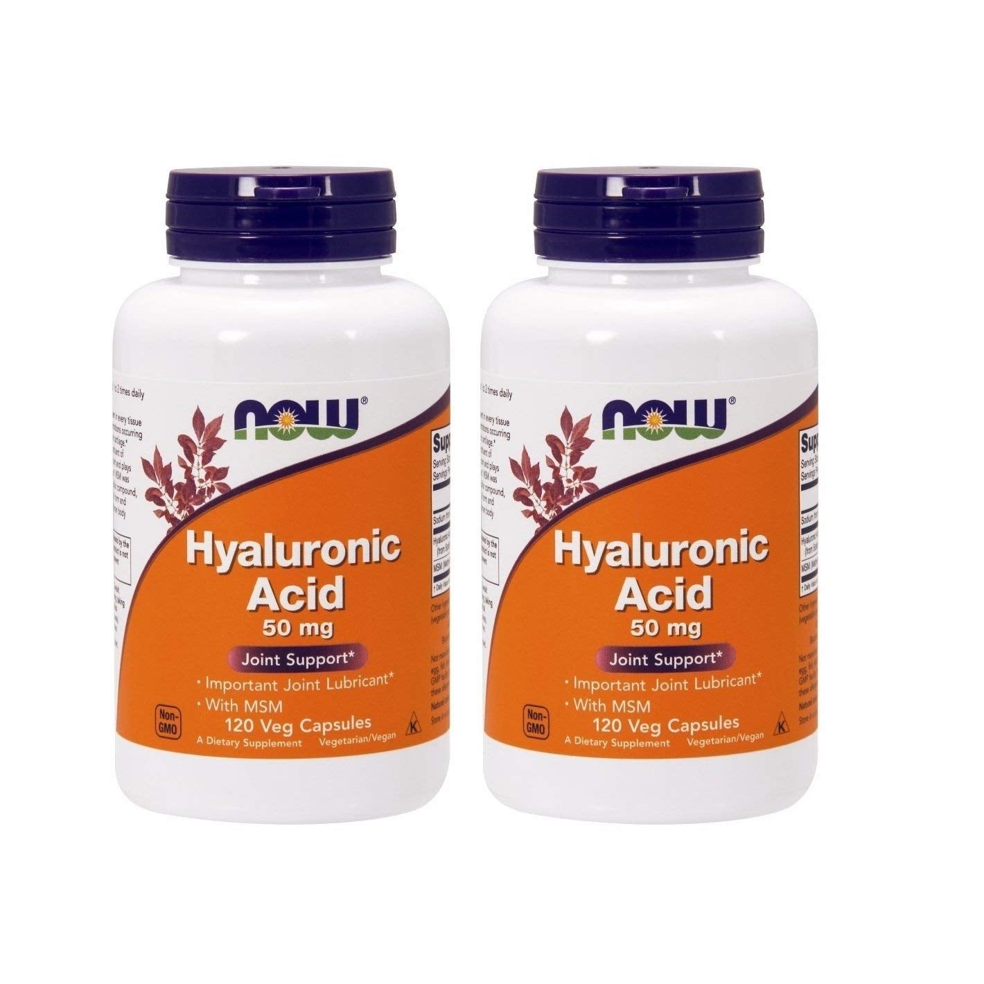 NOW Foods Hyaluronic Acid with MSM Capsule 240