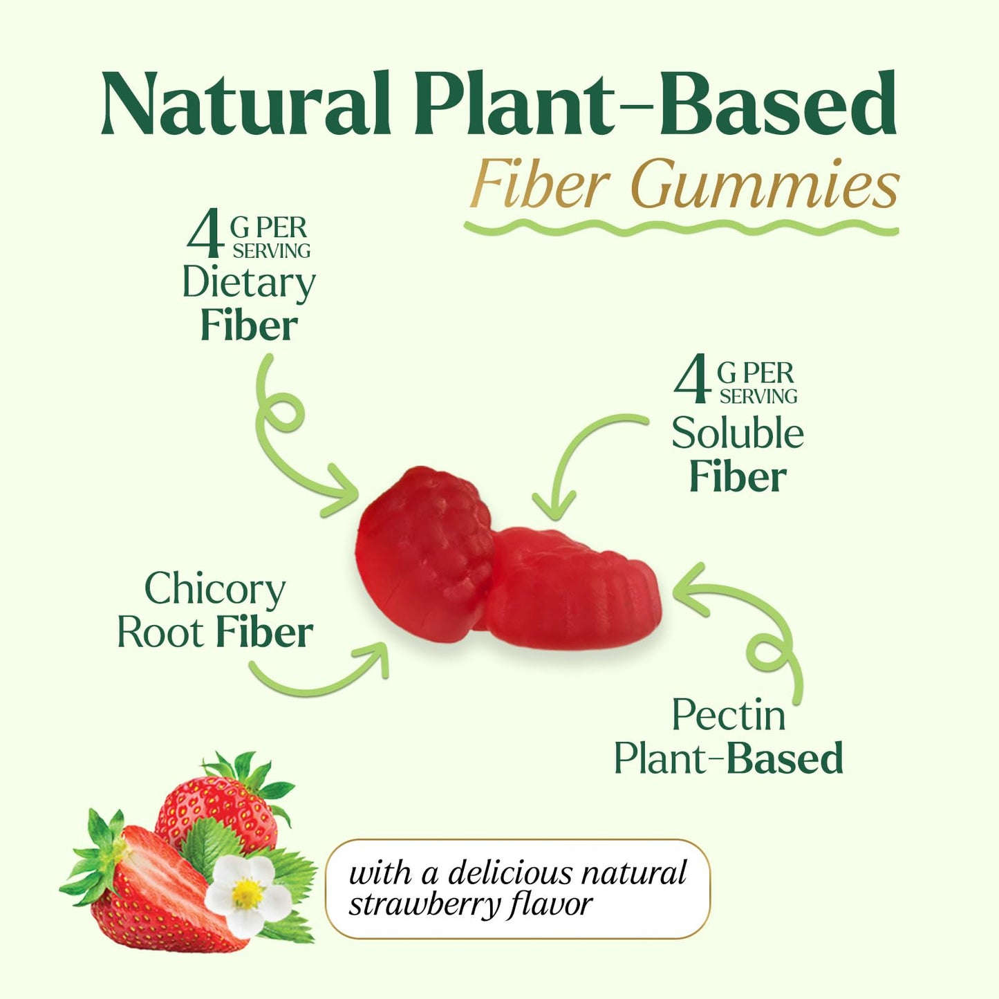 Nature's Gummies Prebiotic Fiber Gummies Gummy 60 Count