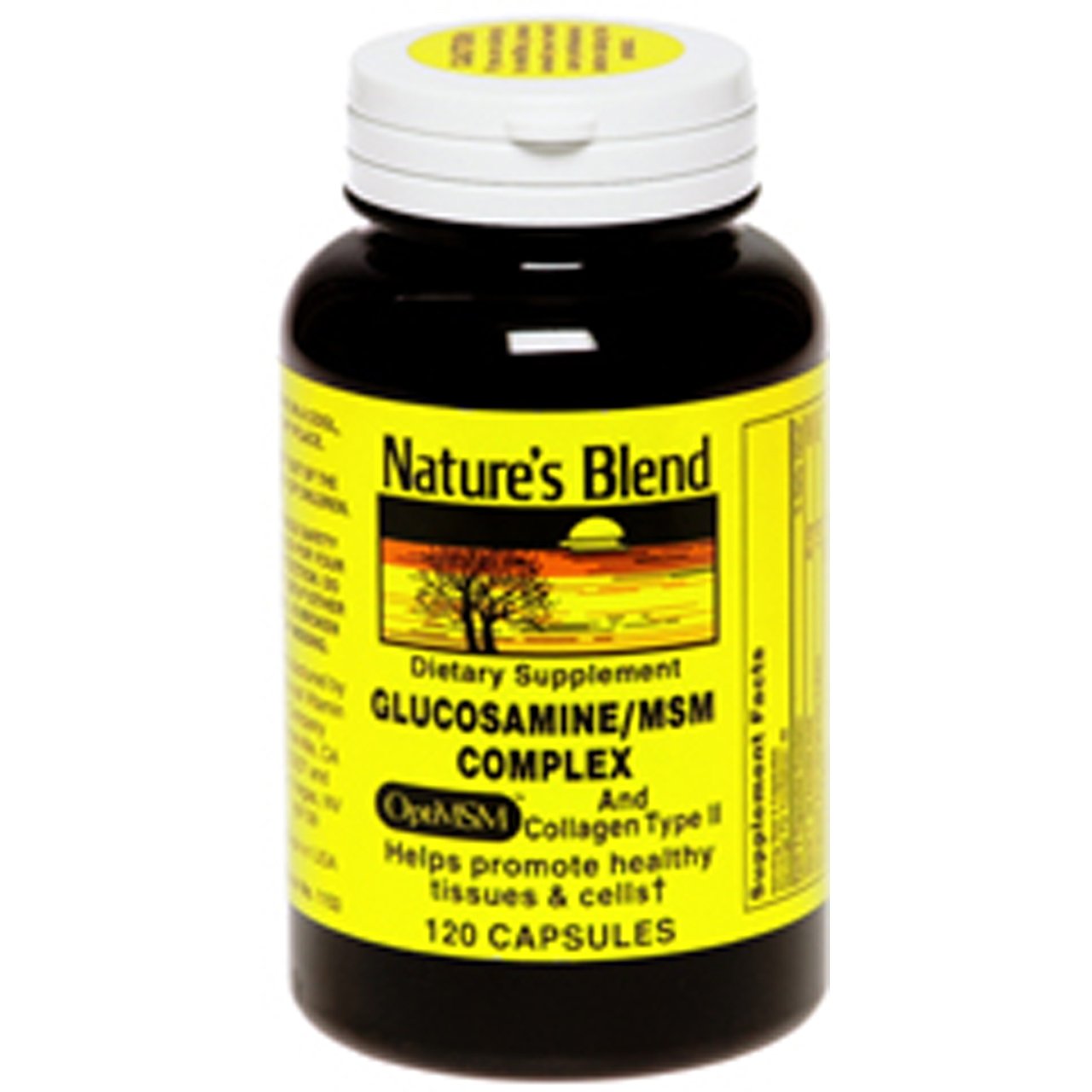 Nature's Blend Glucosamine/MSM Complex Capsule 120