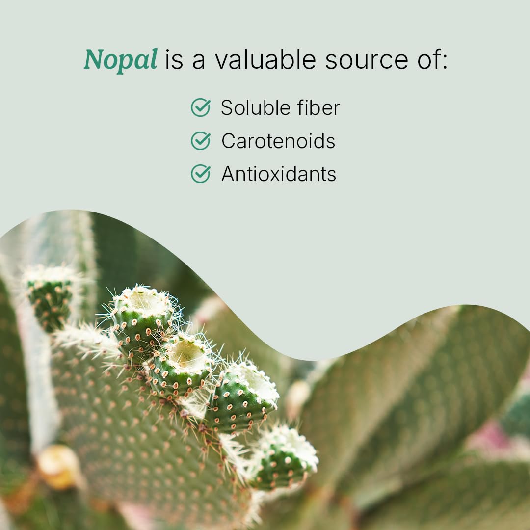 Santo Remedio Super Nopal Cactus Capsules with Chia – Prickly Pear Supplement Gluten Free, Non-GMO, No Added Sugar, 120 Capsules