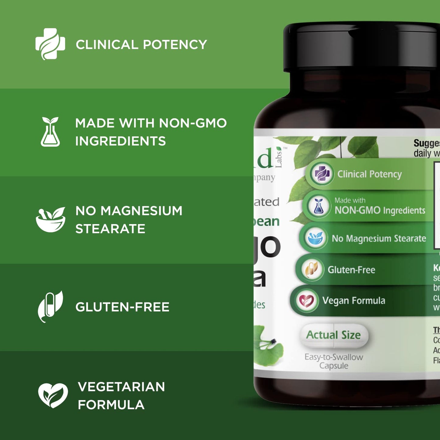 Emerald Labs Ginkgo Biloba Extract Capsule 60 Count
