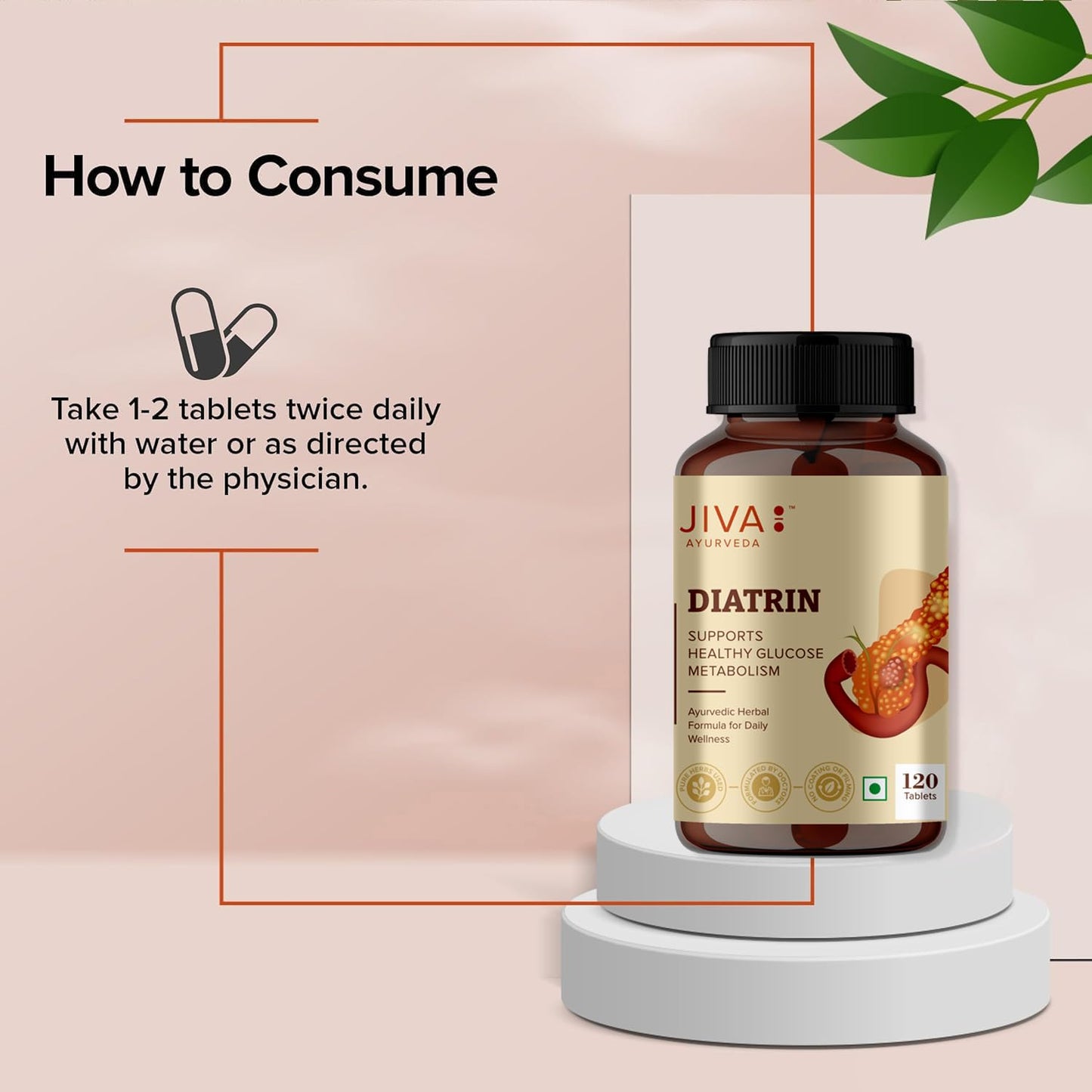 Jiva Ayurveda Diatrin Supplement - Pure Gymnema Sylvestre & Bitter Melon (Karela) - 120 Tablets