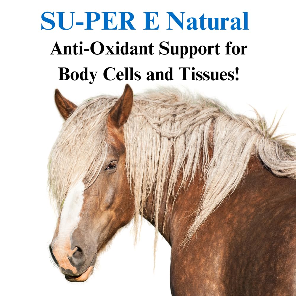 SU-PER E Natural Supplement Powder 1 lb