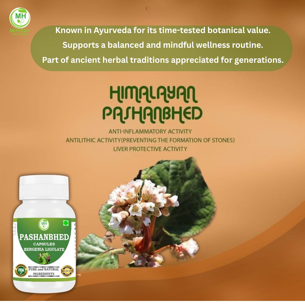 Morsan Healthcare Pashanabheda (Bergenia ligulata) Powder Capsule, 120 Veg Capsules