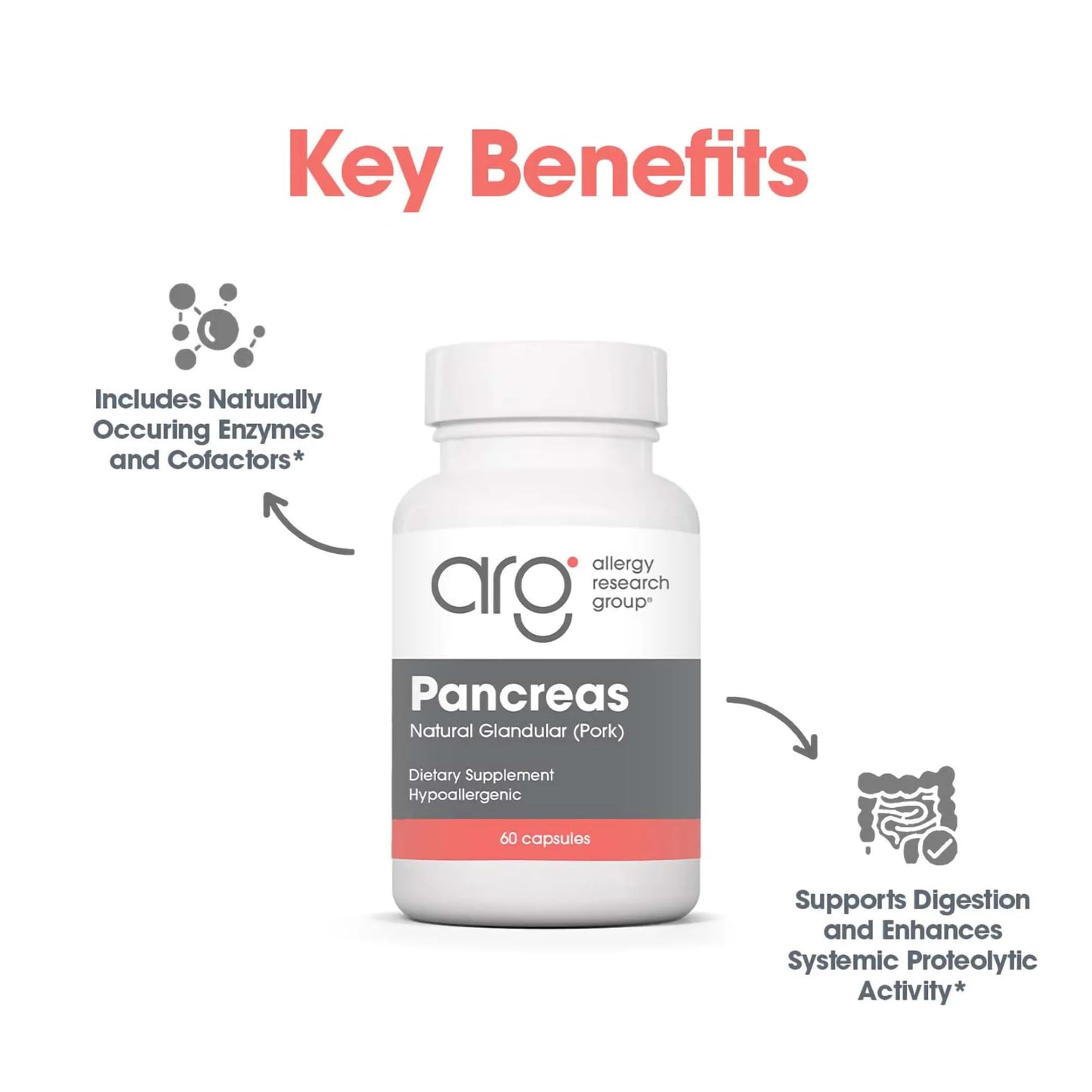 Allergy Research Group Pancreas Natural Glandular 60 Capsules