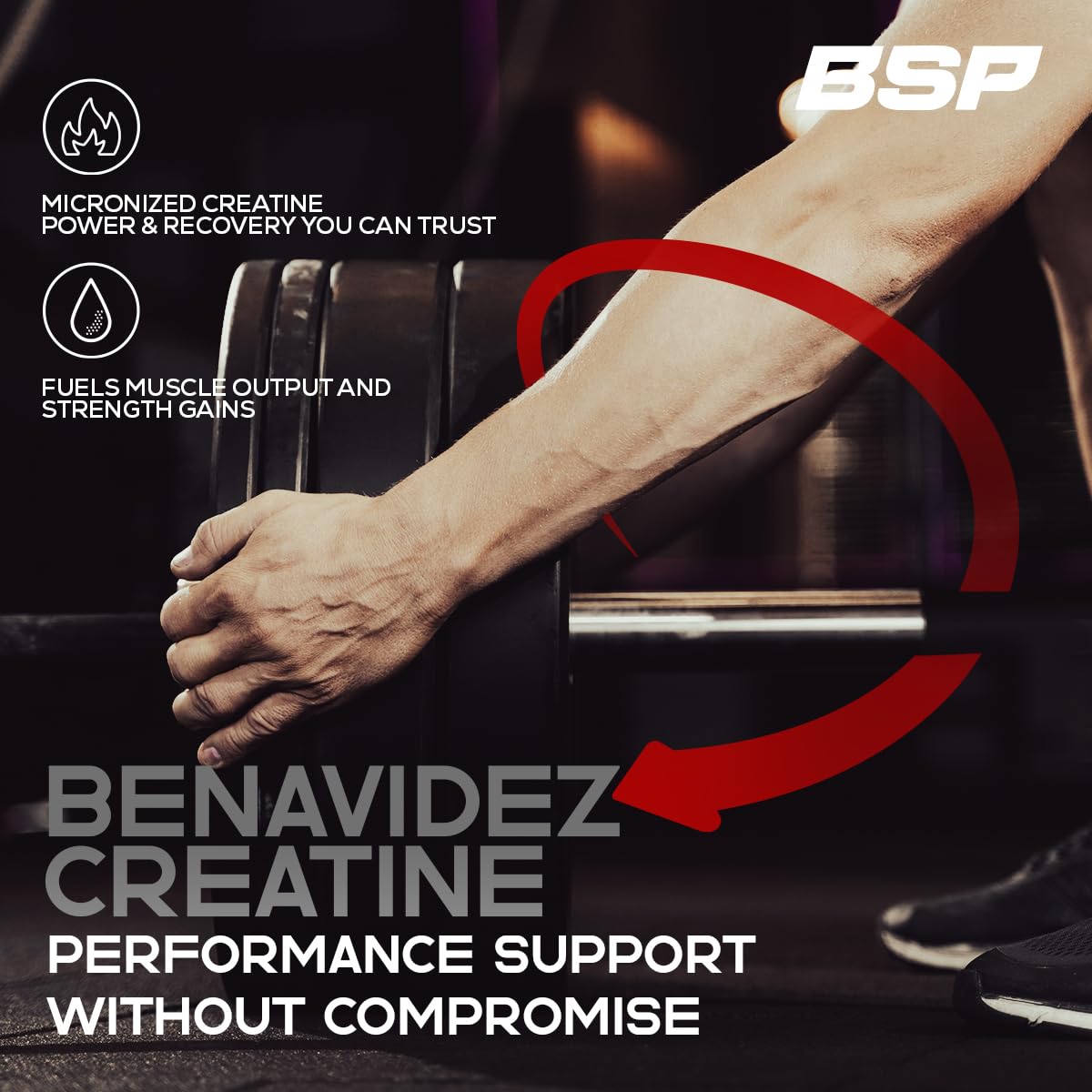 Benavidez Sports Performance Micronized Creatine Monohydrate Powder, 12.35 Ounce, 100 Servings