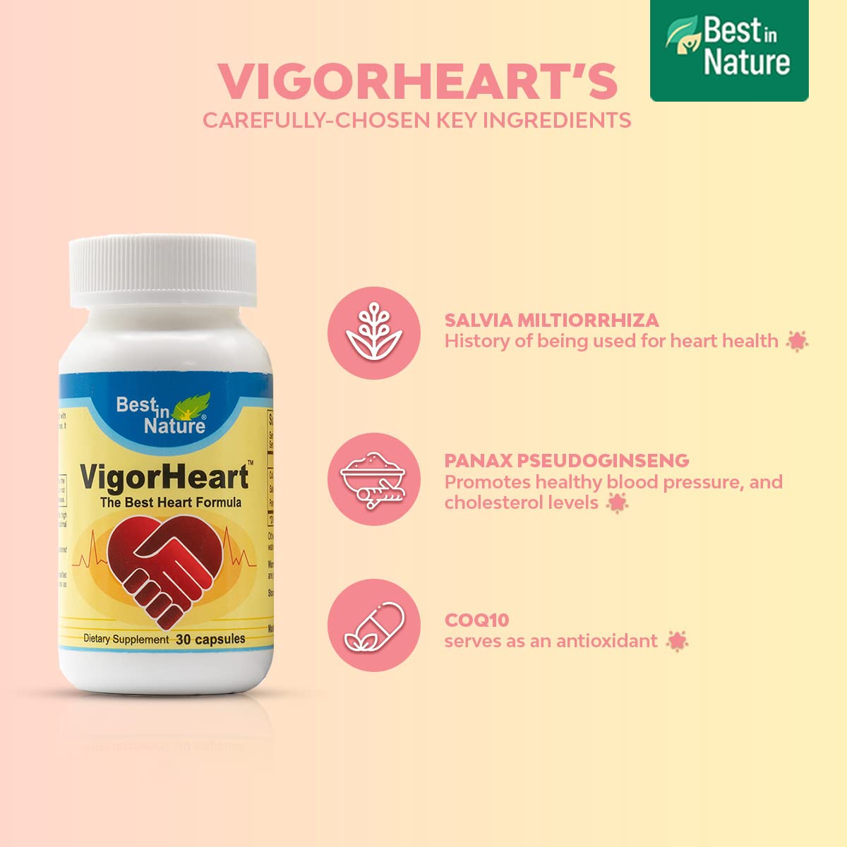 Best in Nature VigorHeart The Natural Heart Supplements with CoQ10, Salvia Miltiorrhiza, and Panax Pseudoginseng Capsules, 30 Count