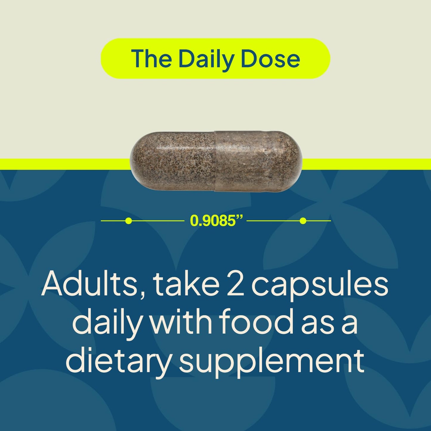 Nature's Wonder Daily GLP-1 Support Supplement Capsules, 60 Capsules