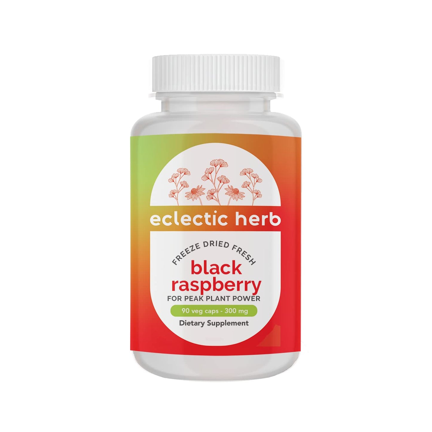 ECLECTIC INSTITUTE Black Raspberry Fdv Capsule 90 Count