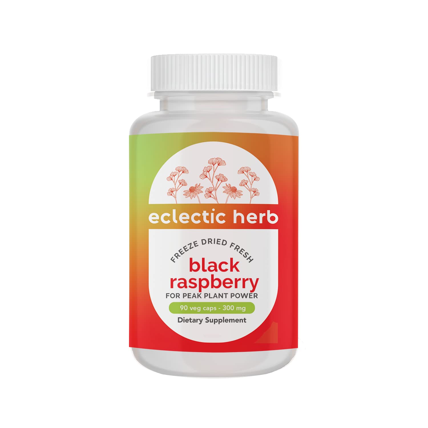 ECLECTIC INSTITUTE Black Raspberry Fdv Capsule 90 Count
