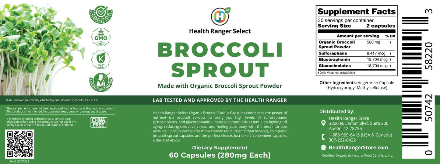GROOVY BEE Broccoli Sprouts Capsules 60 Count
