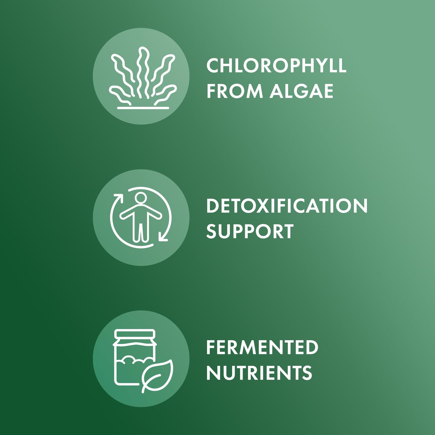 Dr. Mercola Fermented Chlorella with Chlorophyll, 450 Tablets