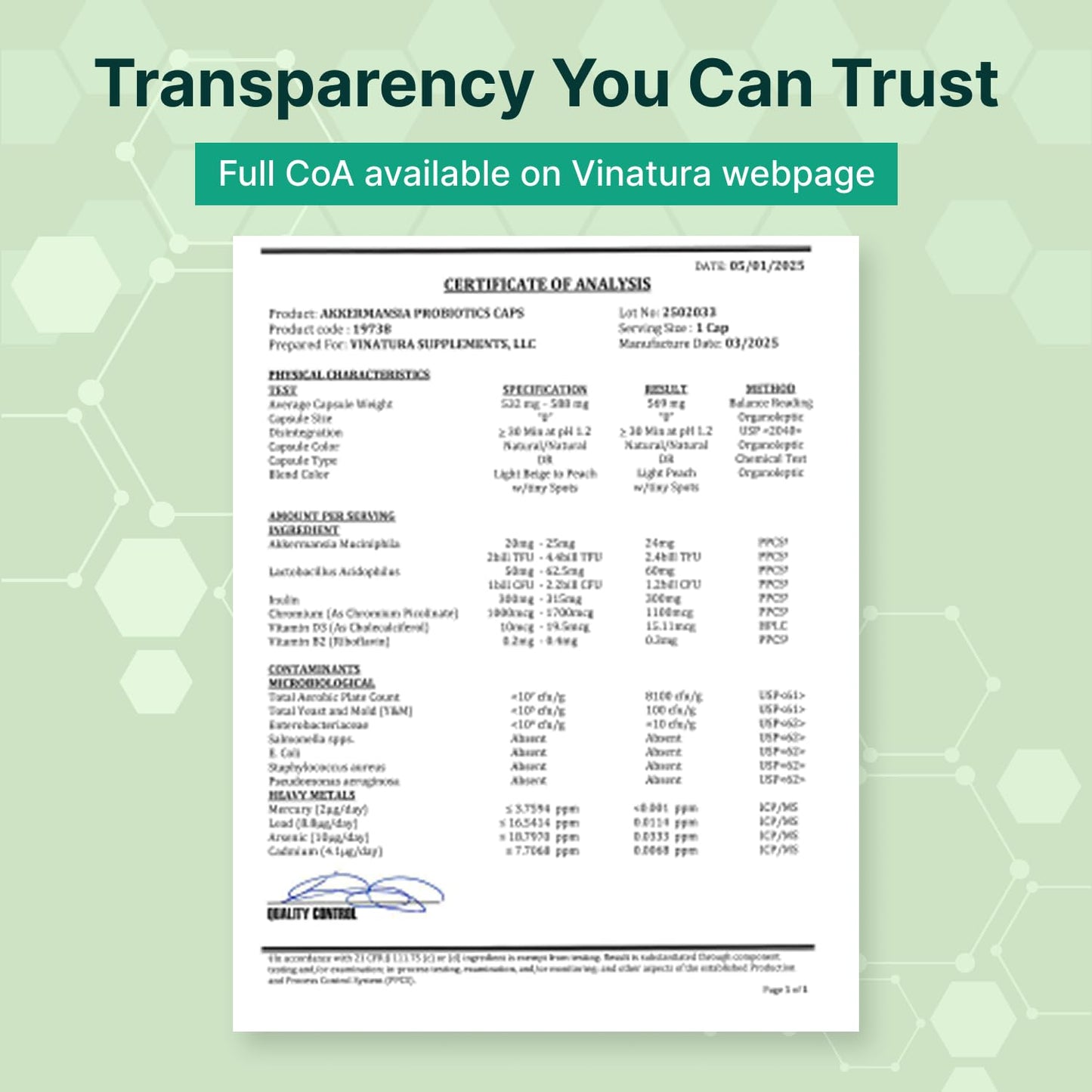 VINATURA Akkermansia Probiotic Capsule, 60 Capsules