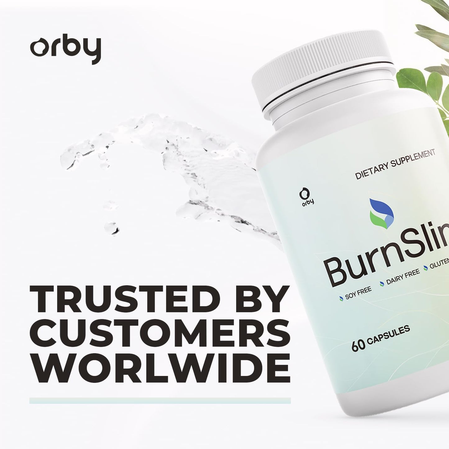 Orby BurnSlim Daily Botanical Supplement with Olive Leaf, Moringa & Holy Basil 360 Capsules