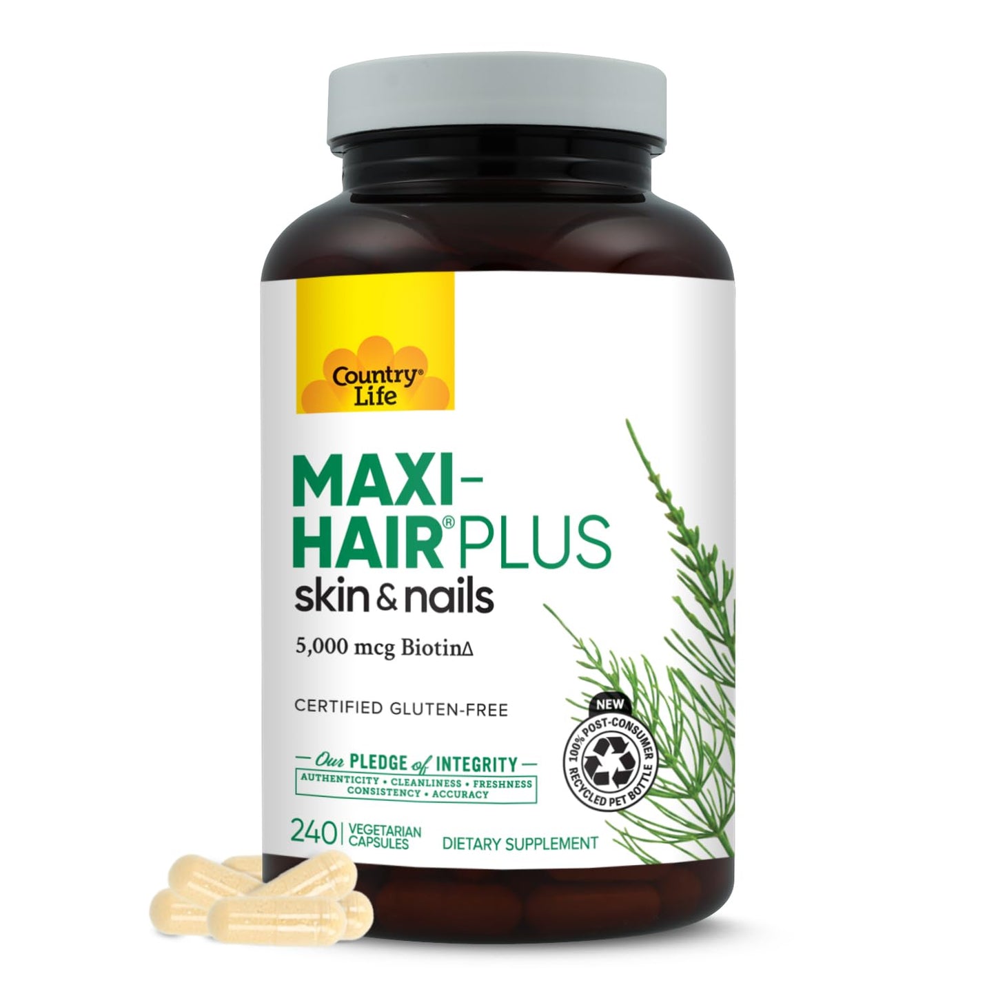 Country Life Maxi-Hair Plus Biotin Capsule 240 Count