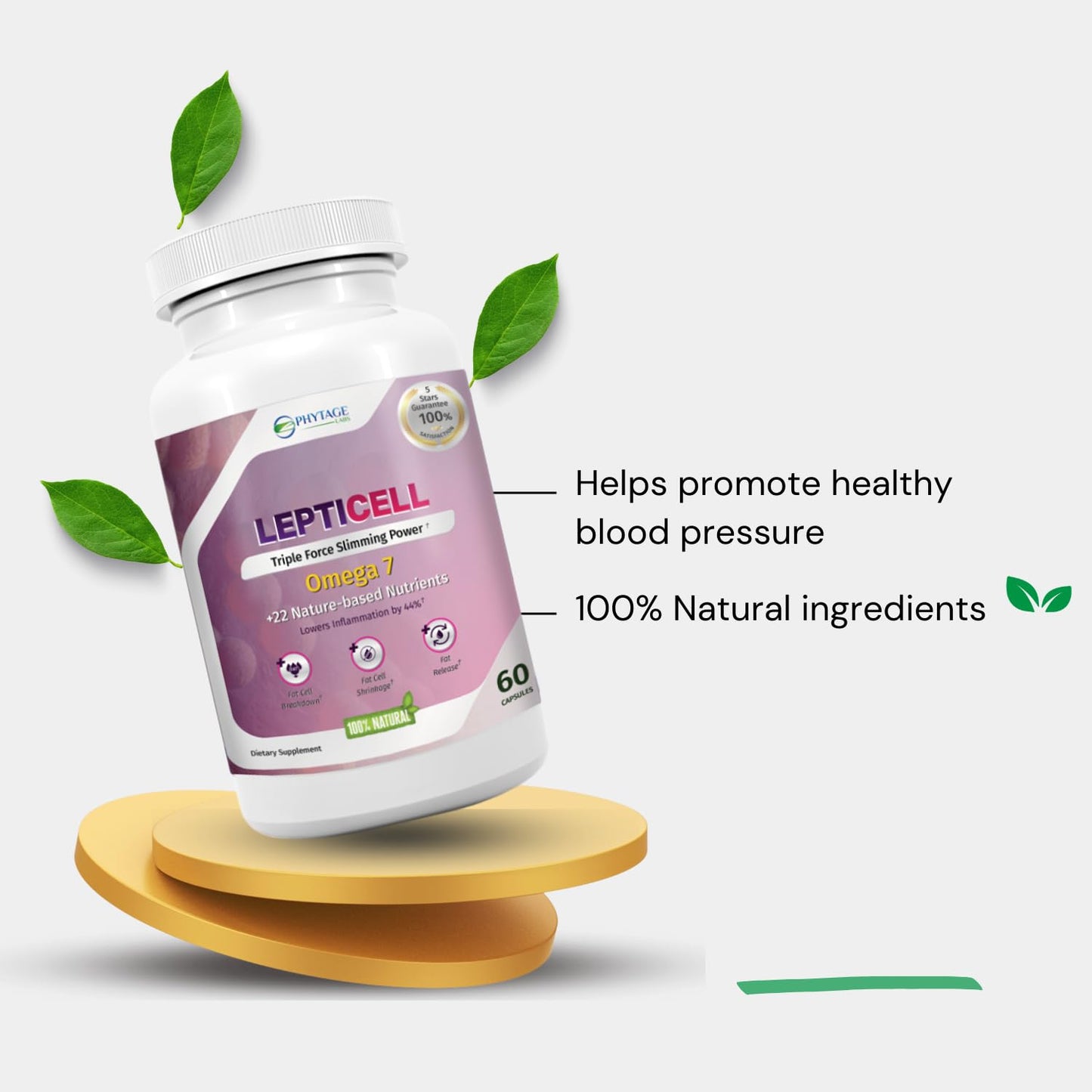 Phytage Labs LeptiCell Advanced Wellness Supplement Capsule 1 Count
