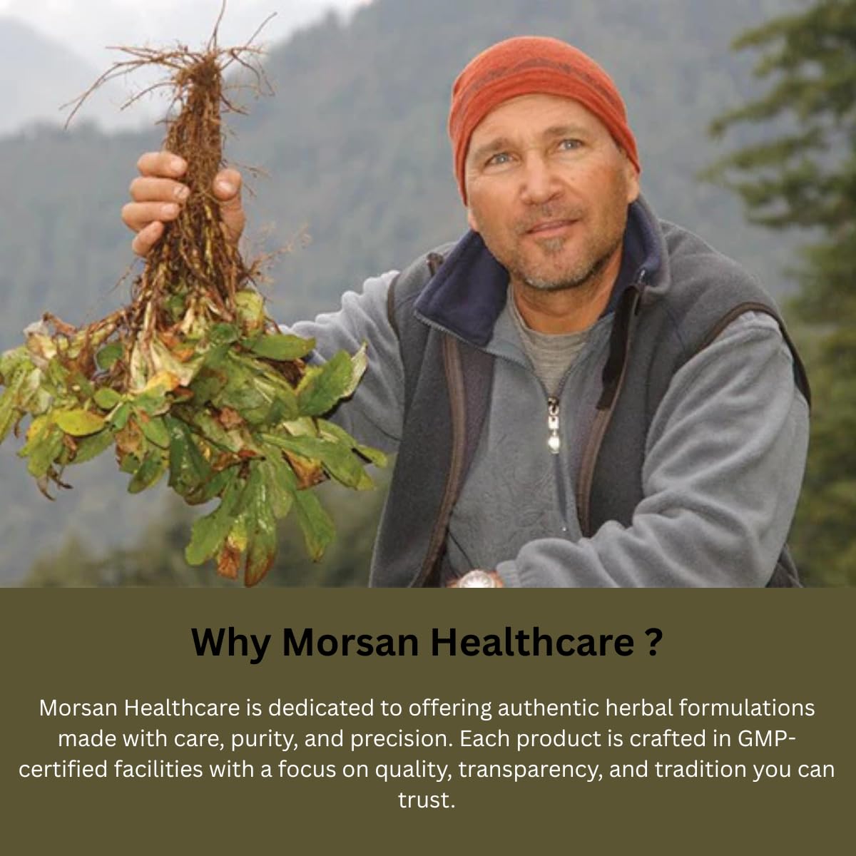 Morsan Healthcare Safed Musli 500 mg Capsule, 60 Capsules