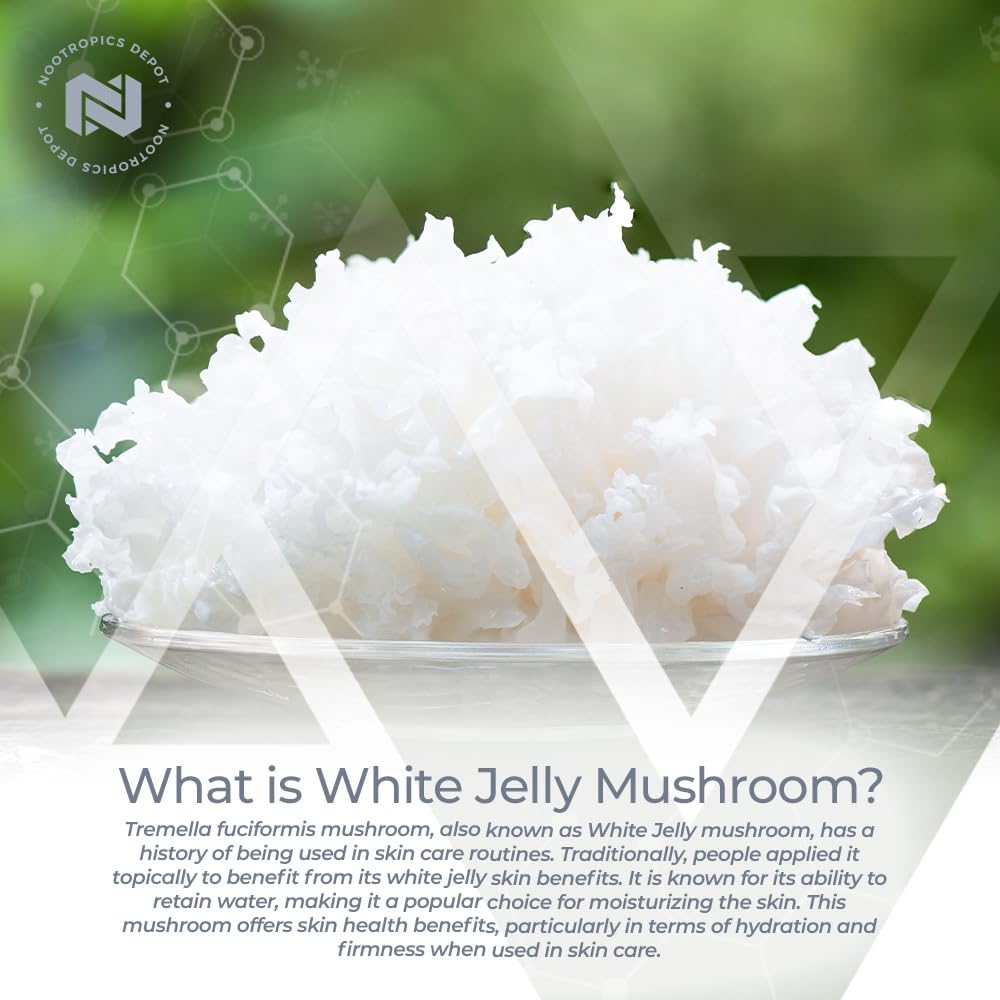 Nootropics Depot White Jelly Mushroom 500mg, 180 Capsules