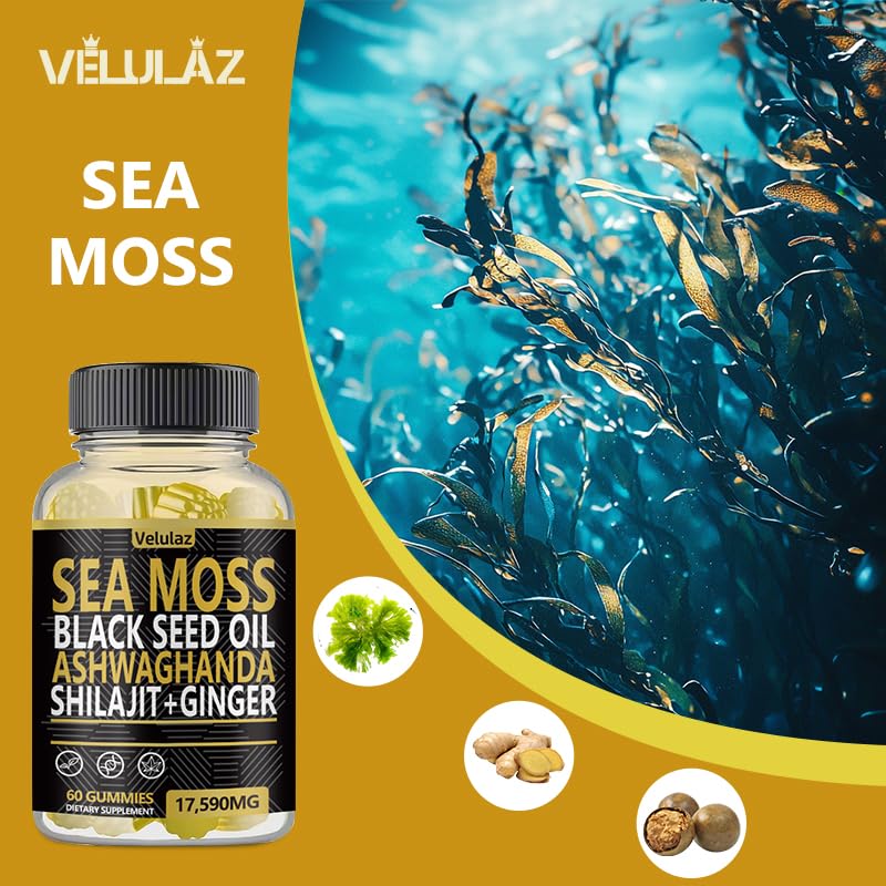 Velulaz Sea Moss & Herbal Gummies with Ginger, Black Seed Oil, Ashwagandha, Shilajit, Elderberry, Chlorophyll, Turmeric, Bladderwrack, 60 Gummies