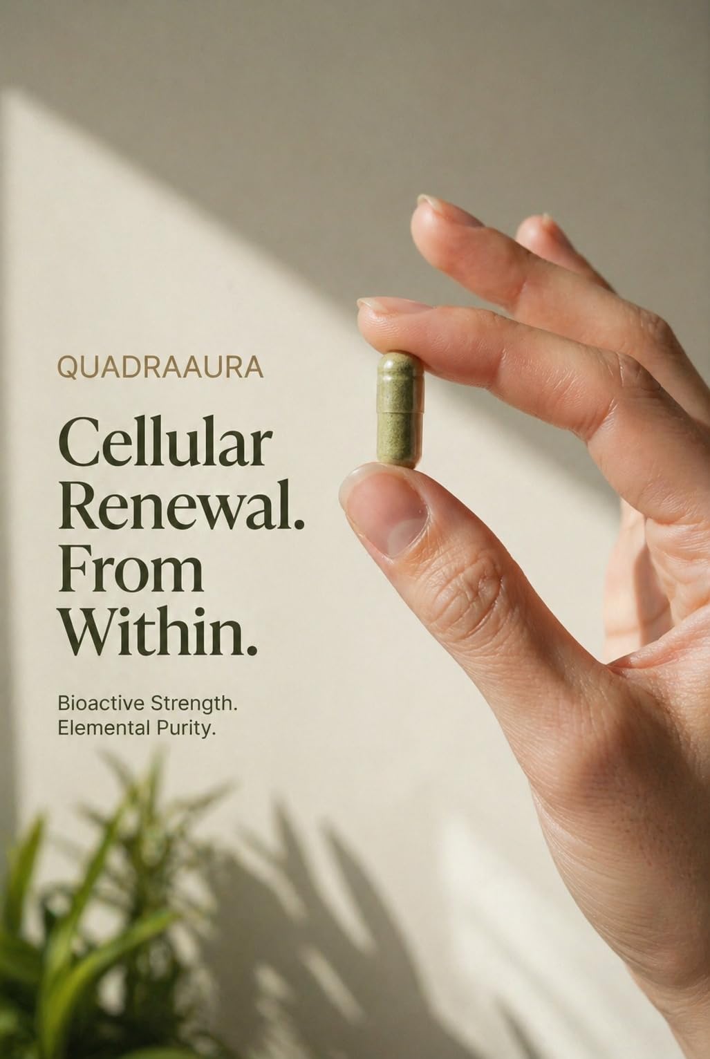 QUADRAAURA Moringa + Amla Premium Superfood Capsule, 90 Capsules