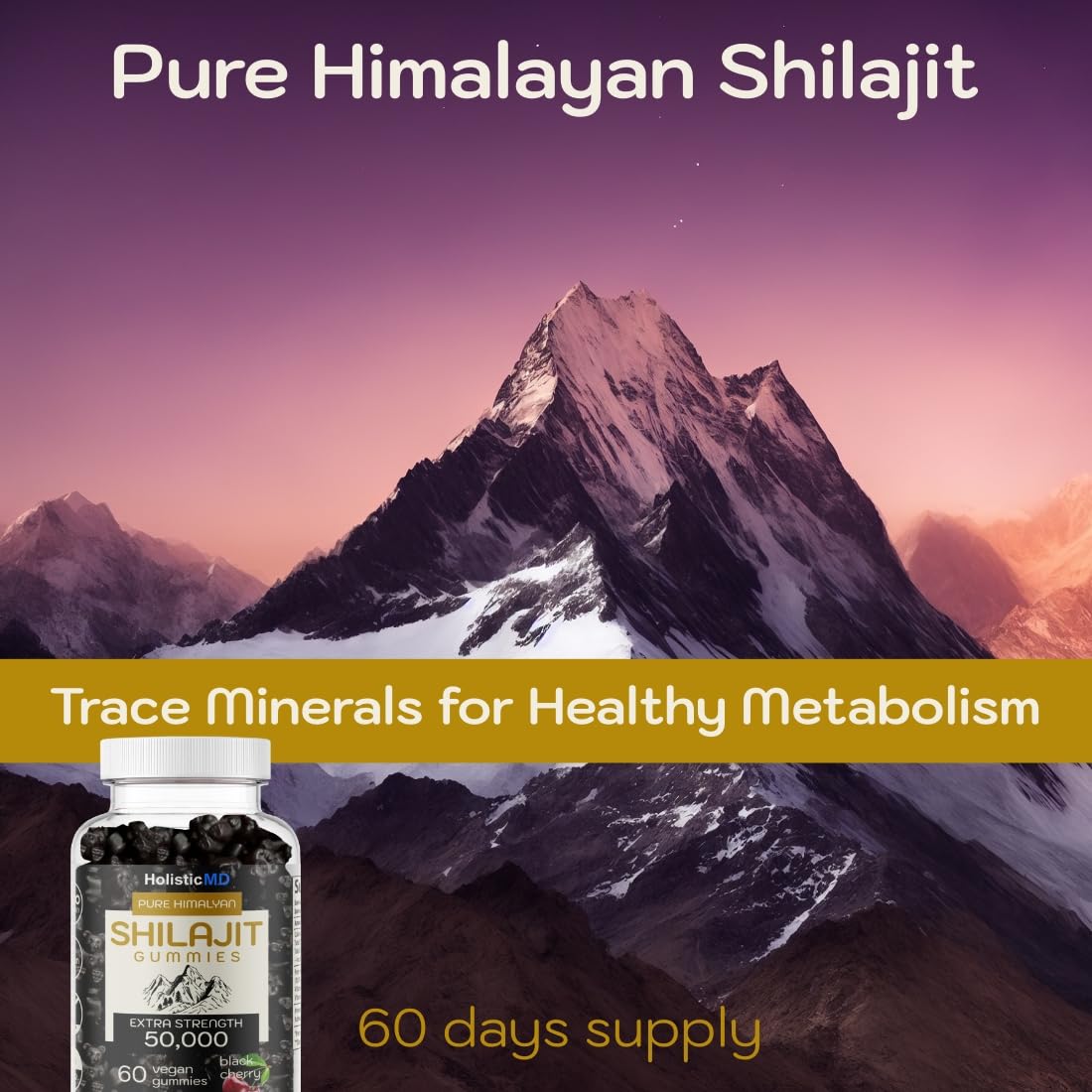 Holistic MD Shilajit Gummies Gummy 60 Gummies