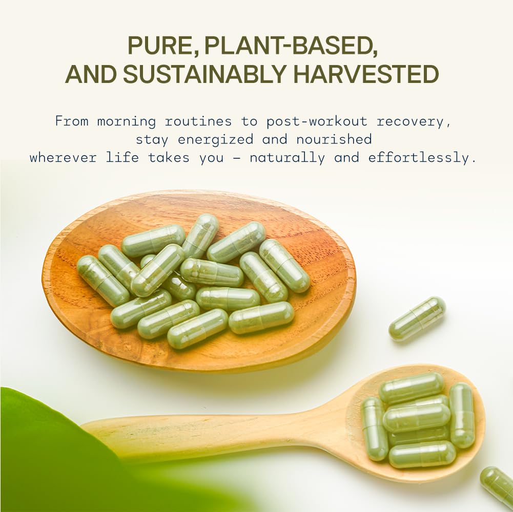 Stateside Growers Wheatgrass Capsules 120 Count