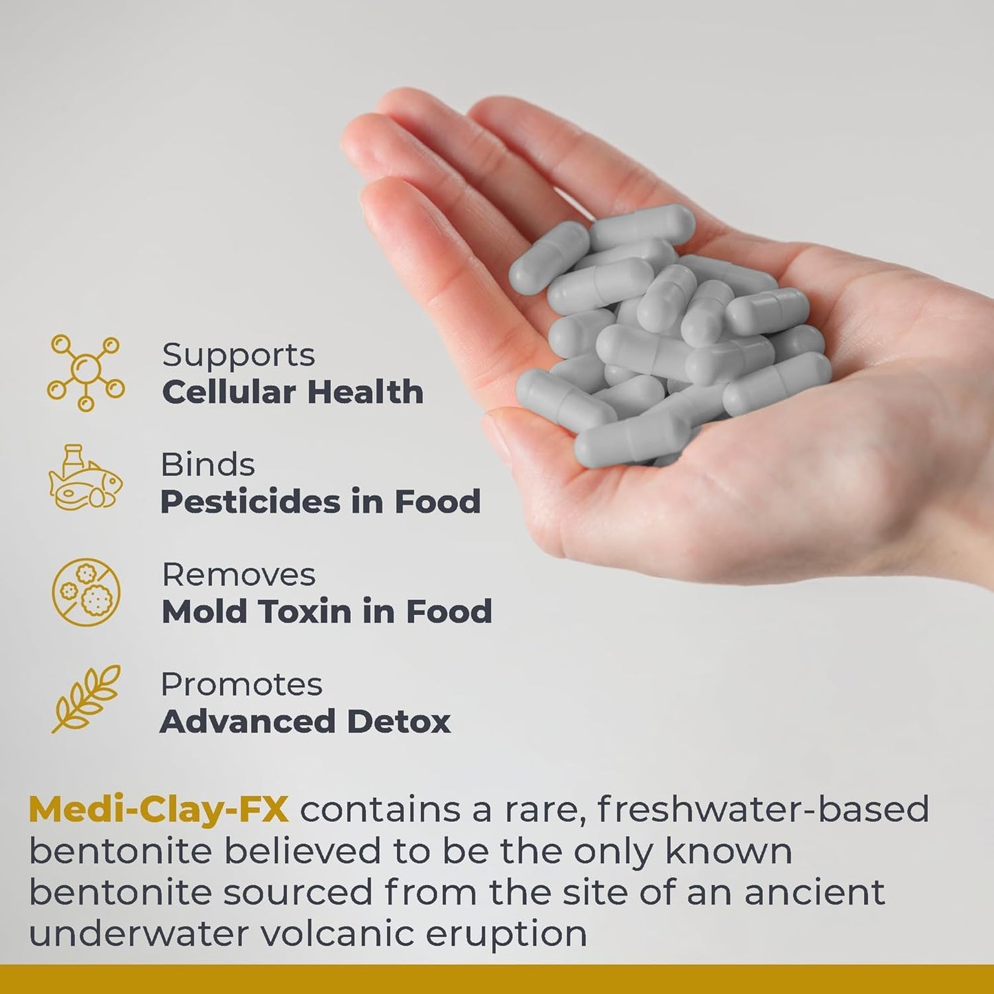 Premier Research Labs Medi-Clay-FX Bentonite Clay Capsules, 90 Count