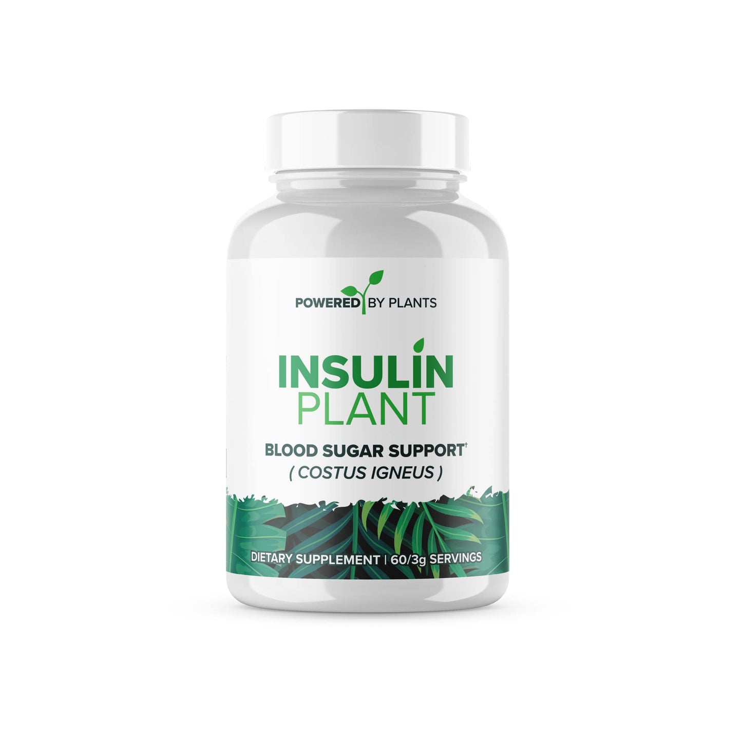 Research Biotech Group Insulin Plant Capsule 240 Capsules