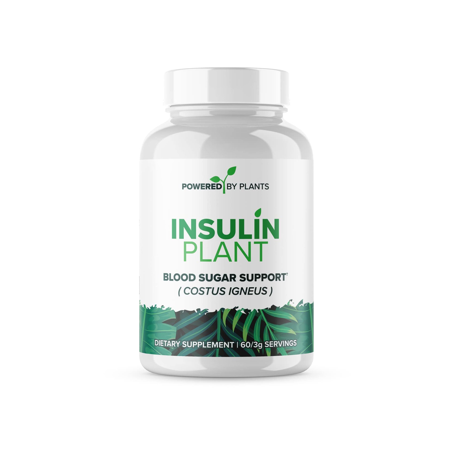 Research Biotech Group Insulin Plant Capsule 240 Capsules