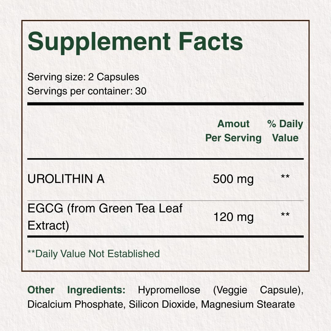 TURRILIFE Premium Urolithin A (≥98% Purity) + High-Potency EGCG from Green Tea Extract (≥98% Polyphenols) – Daily Wellness Formula – Vegan Capsules – 60 Count