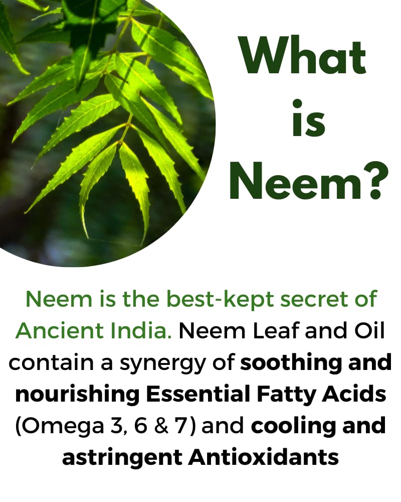 All About Neem Organic Moringa 400mg & Neem Leaf 500mg Capsules 120 Count