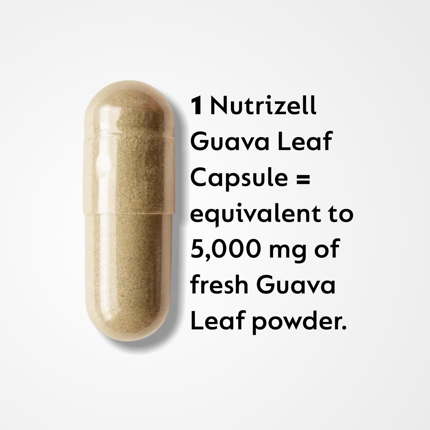 Nutrizell Guava Leaf Extract with Bitter Melon 1000mg Per Serving Herbal Guava Supplement for Metabolic Health & Digestion Support Capsules 120 Count