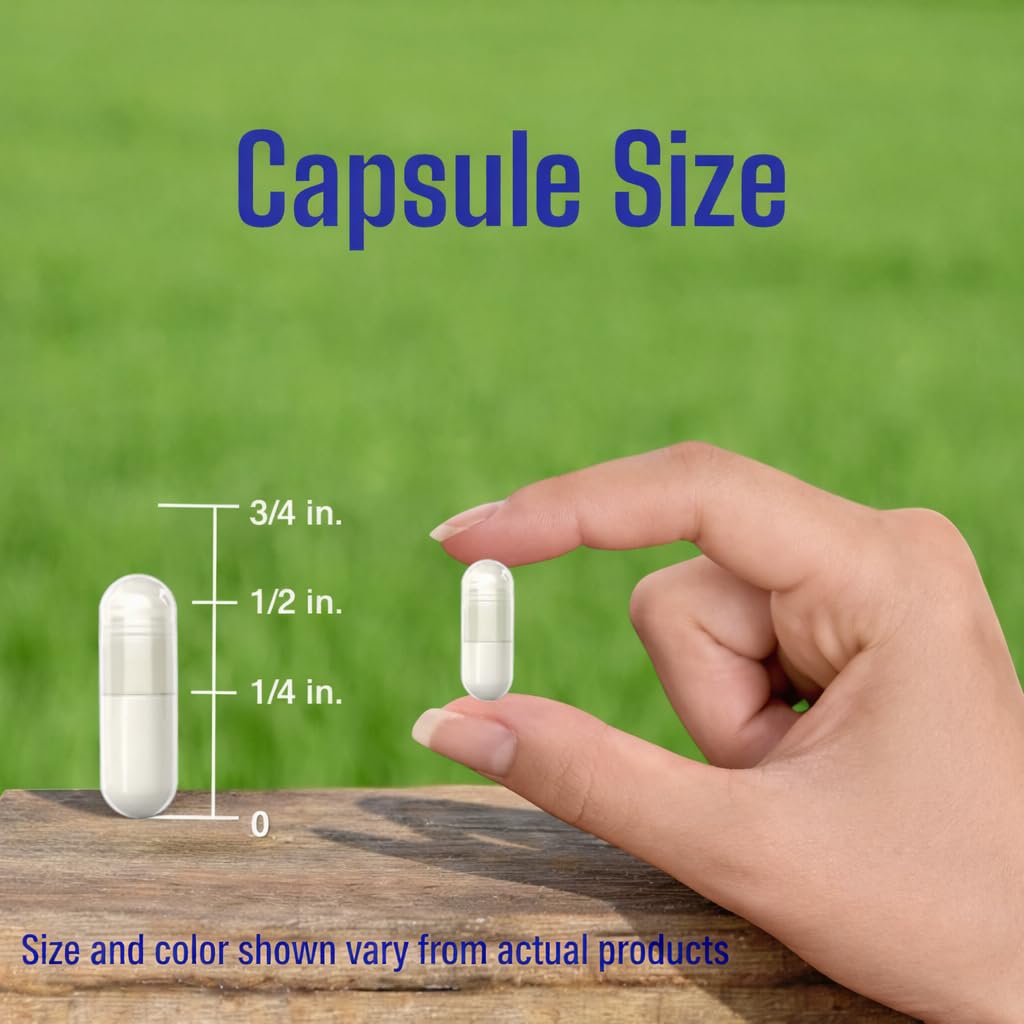 VitaCosmoX Cissus Quadrangularis Capsule, 400 mg, 120 Veggie Capsules, Pack of 1