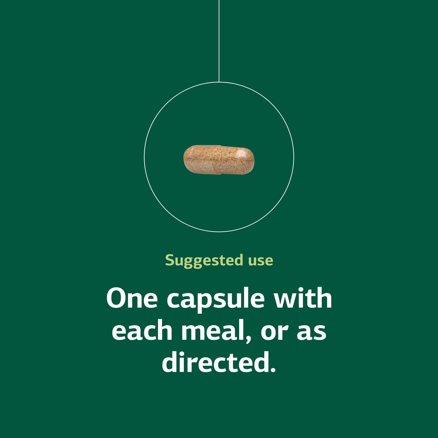 Standard Process Inc. Multizyme Capsules 150