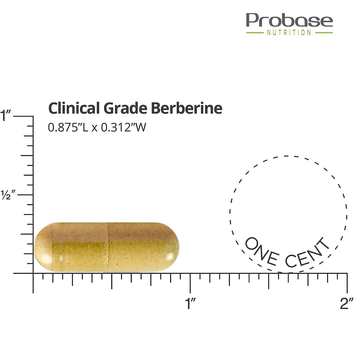 Probase Nutrition Berberine 1200mg with Ceylon Cinnamon Extract Capsule, 120 Capsules