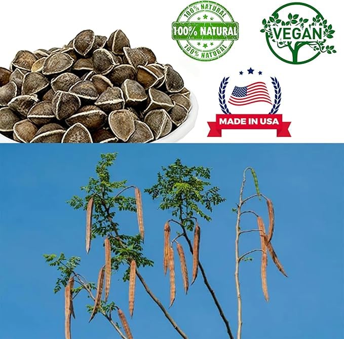 DABC OAK LAND Premium Moringa Seed Moringa Oleifera Edible Seeds Tablets, 8 Count