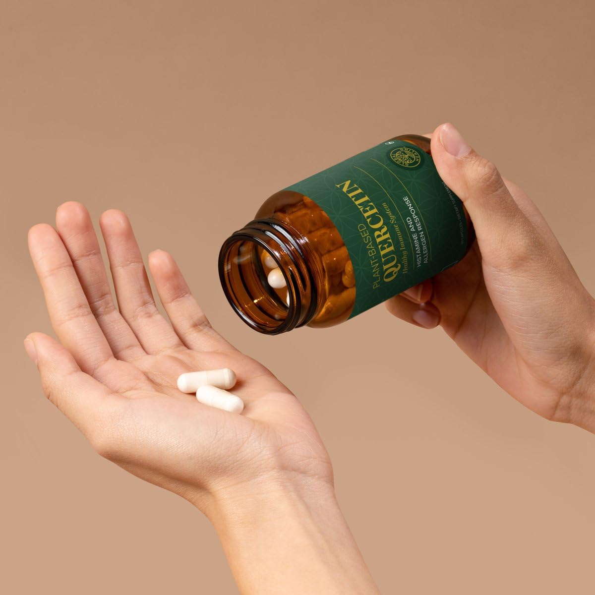 Global Healing Center Quercetin Capsules 500mg Total (250mg Each), 120 Capsules