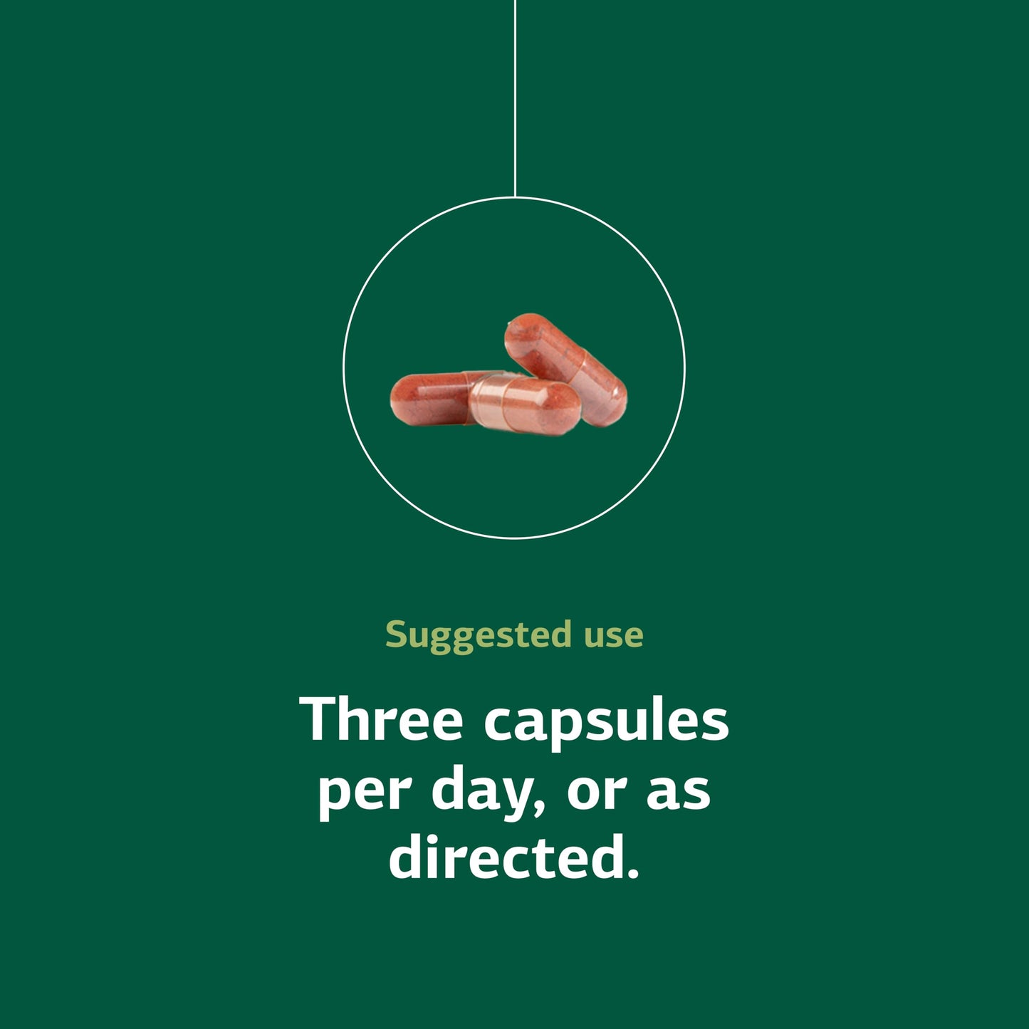Standard Process Inc. SP Red Food Capsules 90