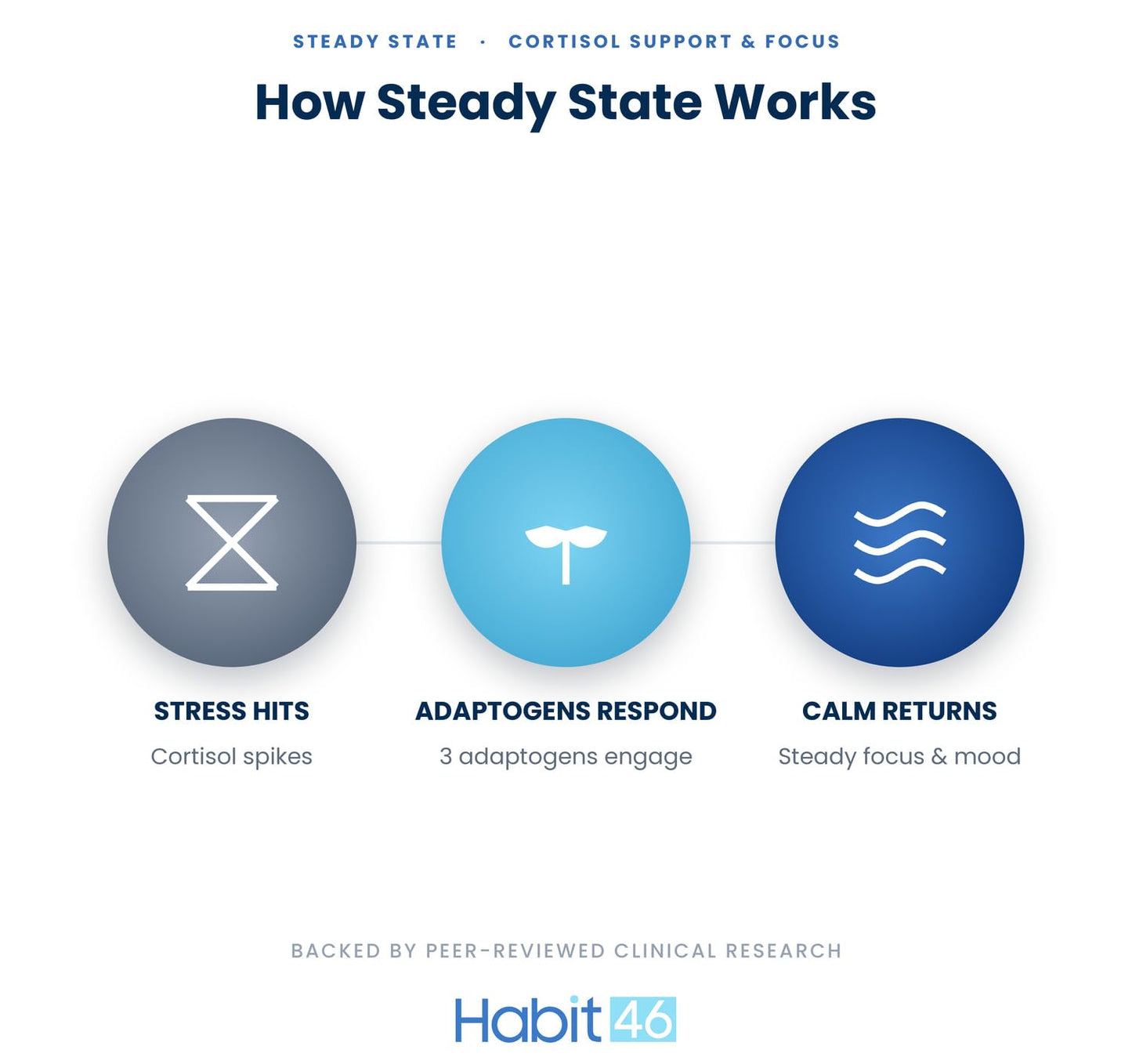 Habit46 Steady State - Rhodiola Rosea, L-Theanine & Saffron - Stress Relief, Adrenal Support & Calm Focus 60 Capsules