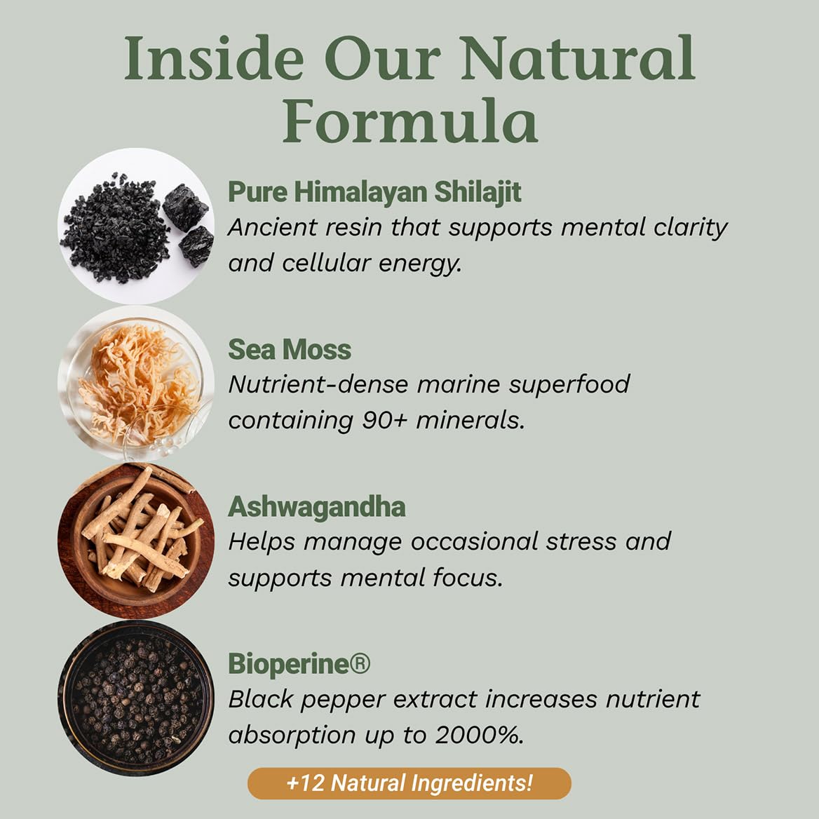 Native Remedies Sea Moss & Shilajit Complex Capsules 90 Count
